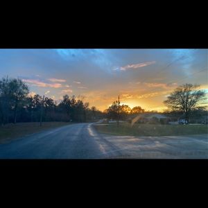 Meet your Posher, Molly